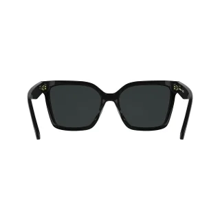 Longchamp Sunglasses LO802S
