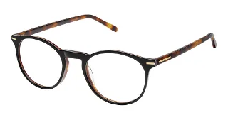 S403-Slta-0021 Grey Tortoise