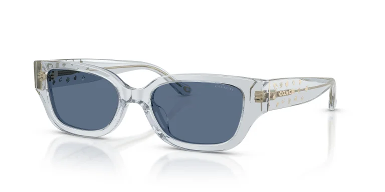 Coach Sunglasses HC8439U