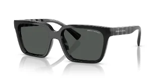 835687 Shiny Transparent Grey