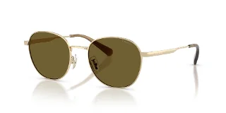 900573 Shiny Light Gold