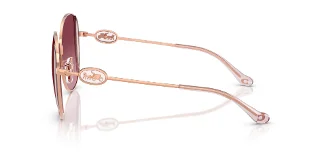 Coach Sunglasses HC7176B