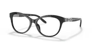 Ralph Lauren Eyeglasses RL6216U