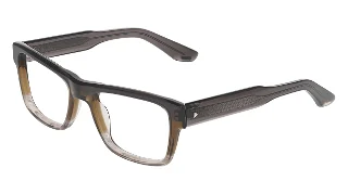 Avio Eyeglasses AOV2305