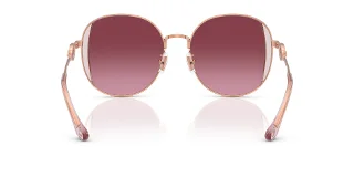 Coach Sunglasses HC7176B