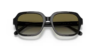 Coach Sunglasses HC8335U