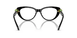 Swarovski Eyeglasses SK2005