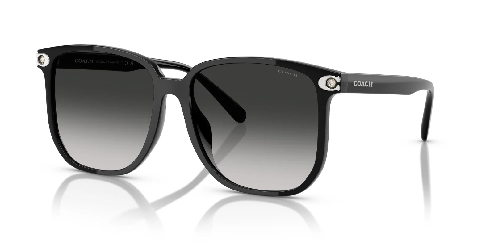 Coach Sunglasses HC8413BD