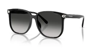 Coach Sunglasses HC8413BD
