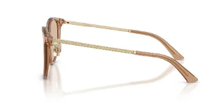 Jimmy Choo Sunglasses JC5056JD