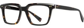 C03 Tortoise