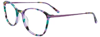 080 Purple