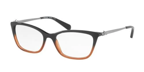 Coach Eyeglasses HC6107