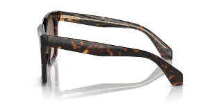 Giorgio Armani Sunglasses AR8156