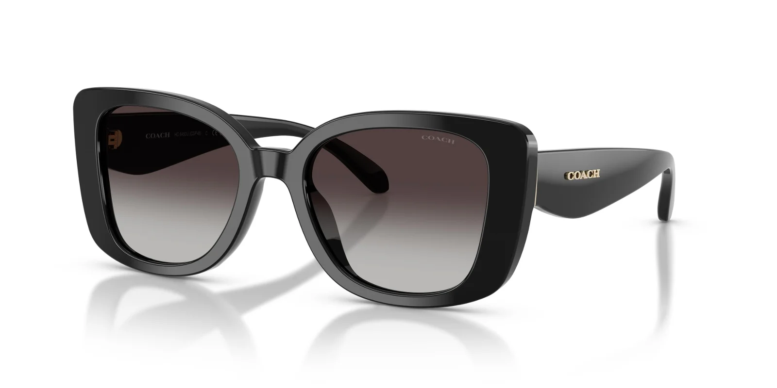 Coach Sunglasses HC8450U