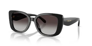 Coach Sunglasses HC8450U