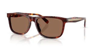 593813 Walnut Tortoise