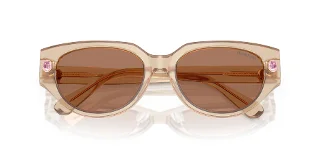 Swarovski Sunglasses SK6035D