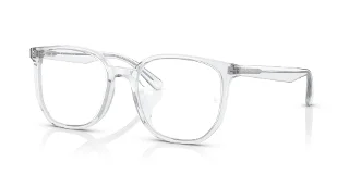 2001 Transparent
