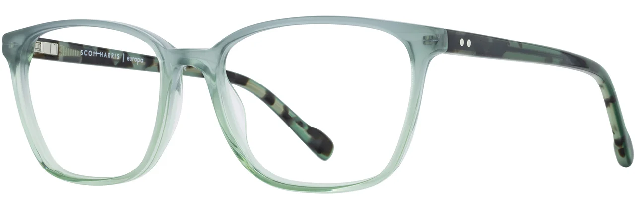 Scott Harris Eyeglasses SH-812