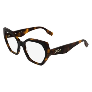 017 Black/Dark Tortoise