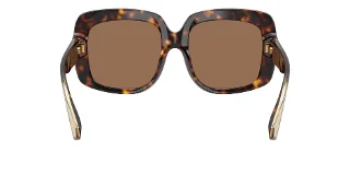 Dolce & Gabbana Sunglasses DG4557