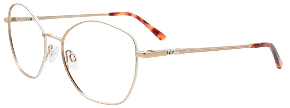 Easyclip Eyeglasses EC650