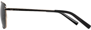 INVU Sunglasses INVU- 310