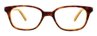 Easyclip Eyeglasses EC430