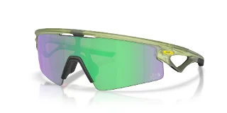 953109 Matte Fern