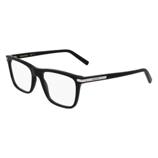 Salvatore Ferragamo Eyeglasses SF2959N