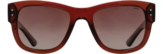 INVU Sunglasses INVU- 342