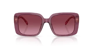 Coach Sunglasses HC8424U