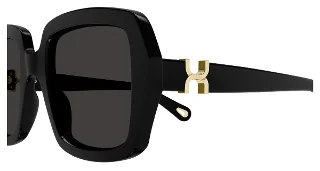 Chloe Sunglasses CH0301S