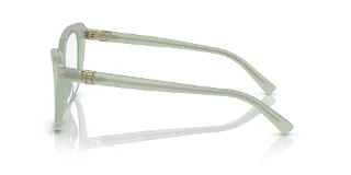Ralph Lauren Eyeglasses RL6232U