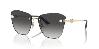 Jimmy Choo Sunglasses JC4004HB