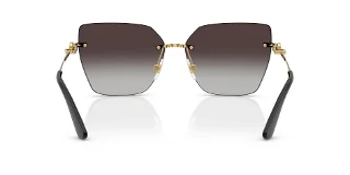 Dolce & Gabbana Sunglasses DG2321