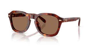 593873 Walnut Tortoise
