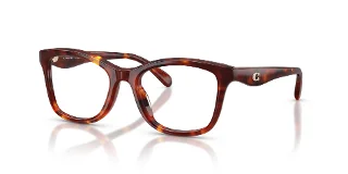 5938 Walnut Tortoise