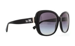 Coach Sunglasses HC8158 L139