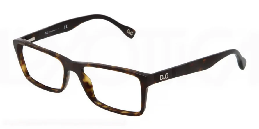 D&G Eyeglasses DD1233