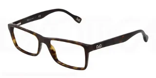 D&G Eyeglasses DD1233