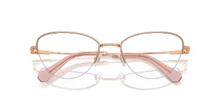 Swarovski Eyeglasses SK1010