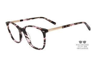C12 Pink Tortoise
