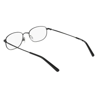 Flexon Eyeglasses H6099
