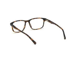Skechers Eyeglasses SE3229