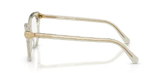 Swarovski Eyeglasses SK2046