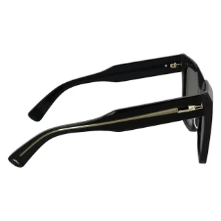 Longchamp Sunglasses LO778S