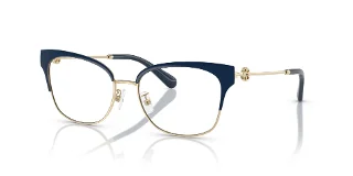 3349 Shiny Gold/Navy