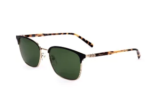 Salvatore Ferragamo Sunglasses SF180S